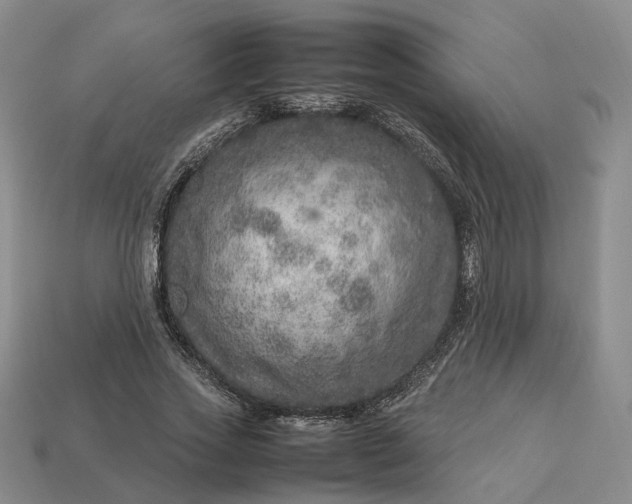 X0000112950733200909071115