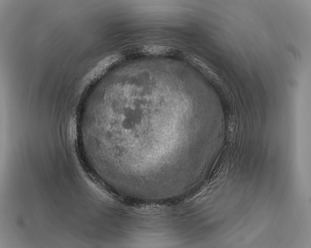 X0000112950734200909071115