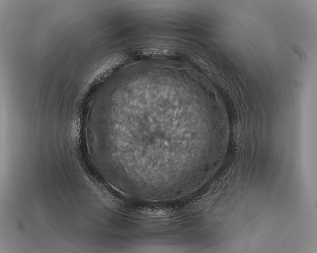 X0000112950735200909071115