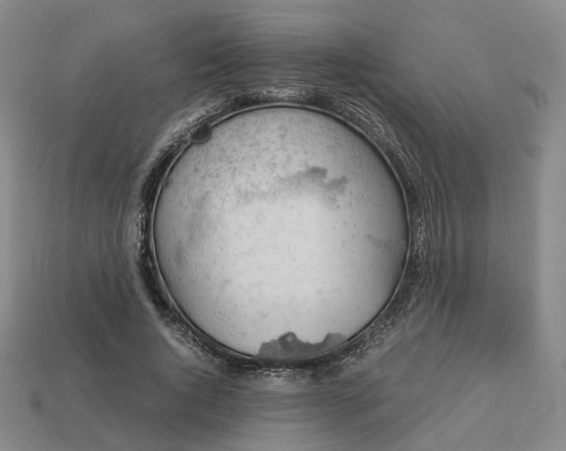 X0000112950736200909071115