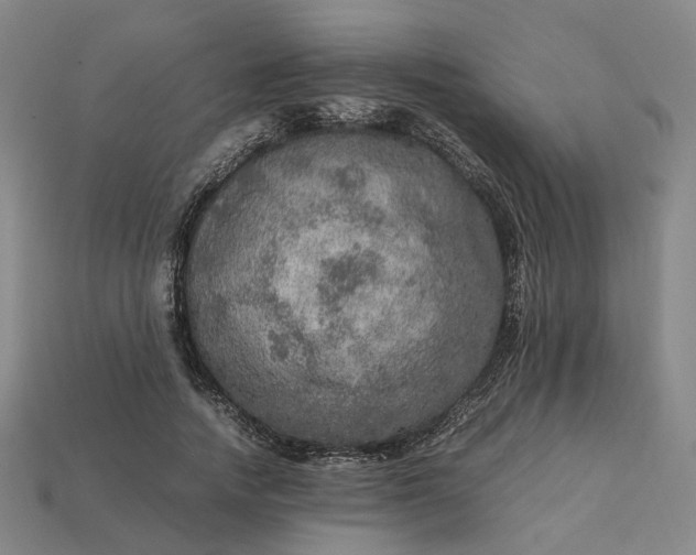 X0000112950738200909071115