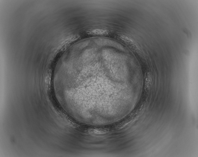 X0000112950739200909071115