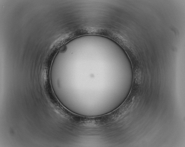 X0000112950740200909071115