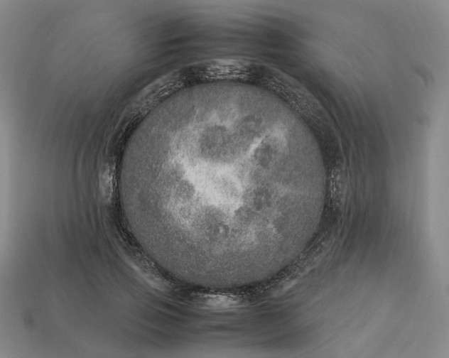 X0000112950741200909071115