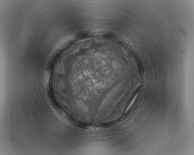 X0000112950742200909071115