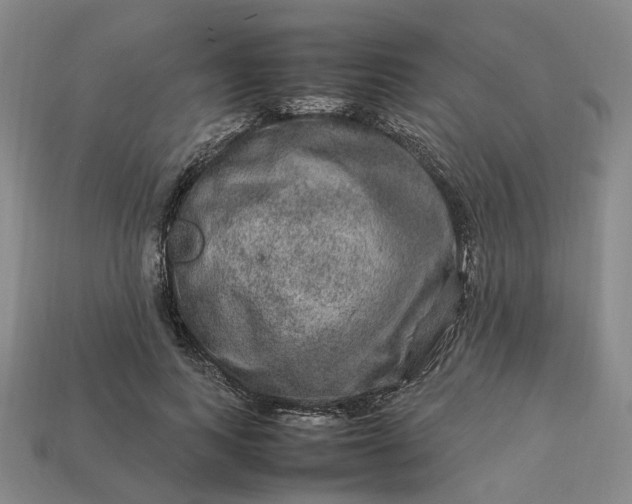 X0000112950743200909071115