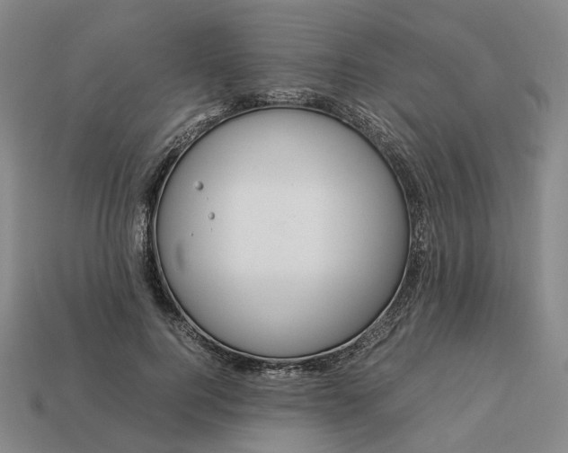 X0000112950744200909071115