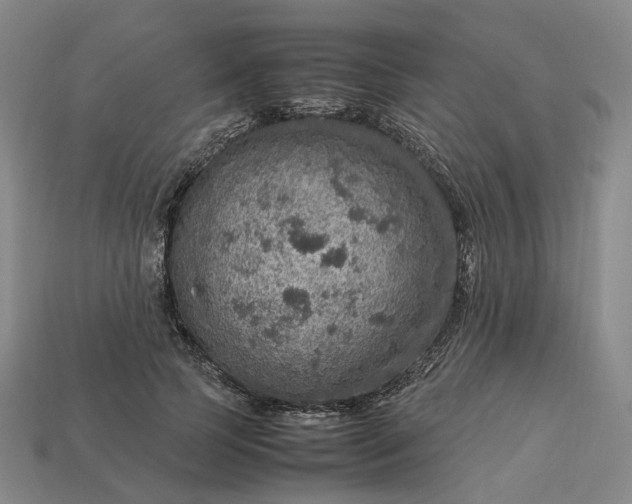 X0000112950745200909071115