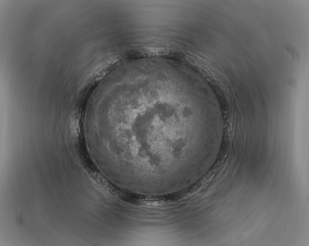 X0000112950746200909071115