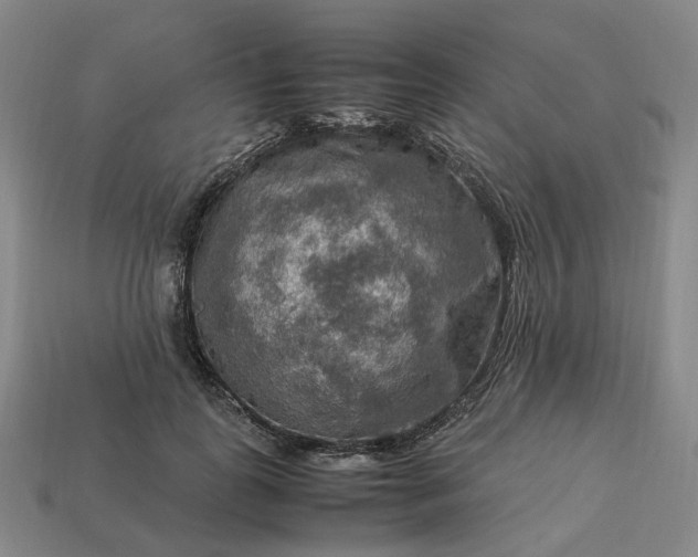 X0000112950747200909071115