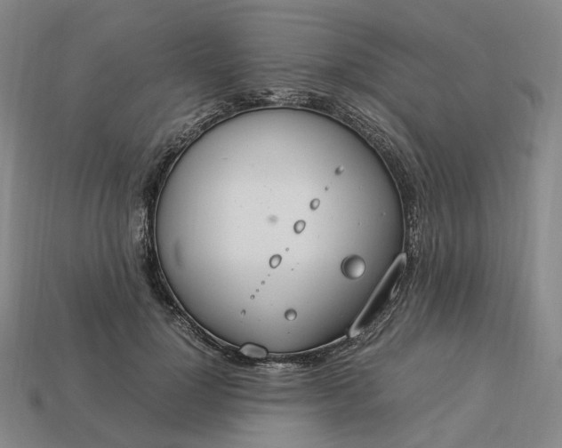 X0000112950748200909071115