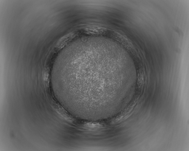 X0000112950749200909071115