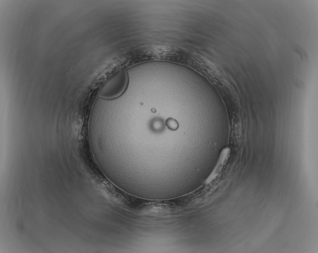 X0000112950750200909071115