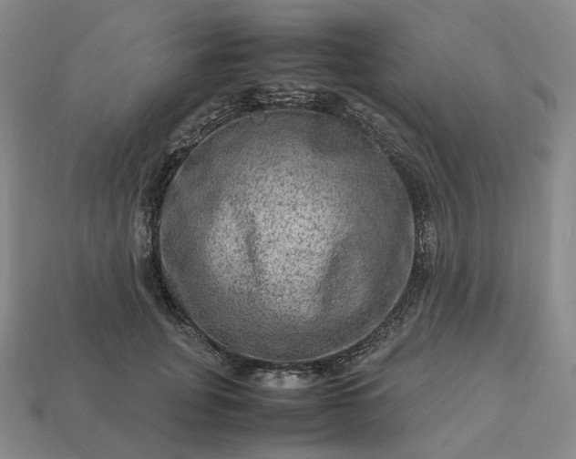 X0000112950751200909071115