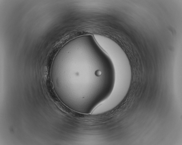 X0000112950752200909071115