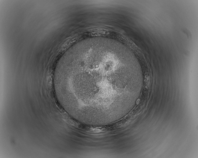 X0000112950753200909071115