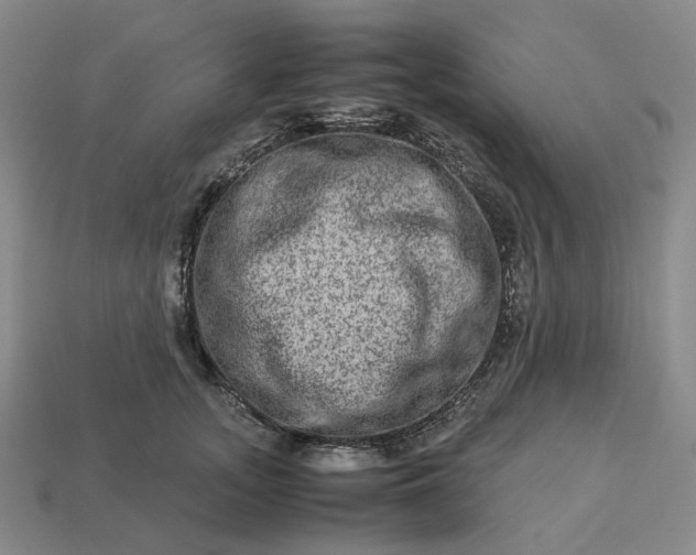 X0000112950755200909071115