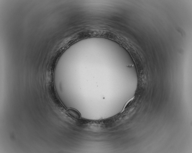 X0000112950756200909071115