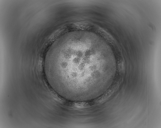 X0000112950757200909071115