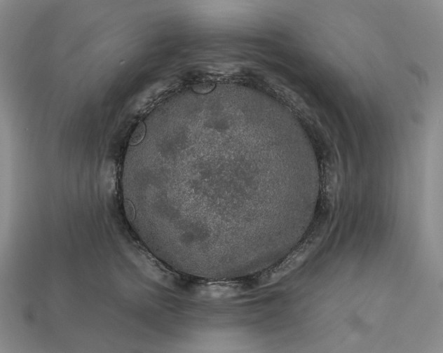 X0000112950758200909071115