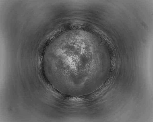 X0000112950759200909071115