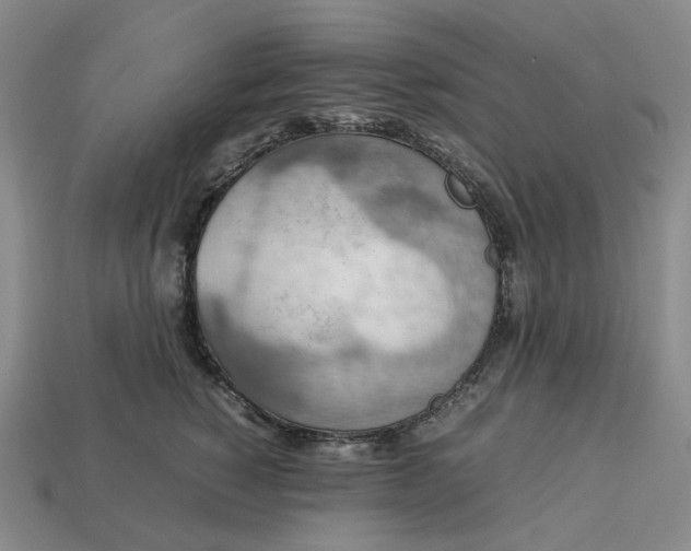 X0000112950760200909071115