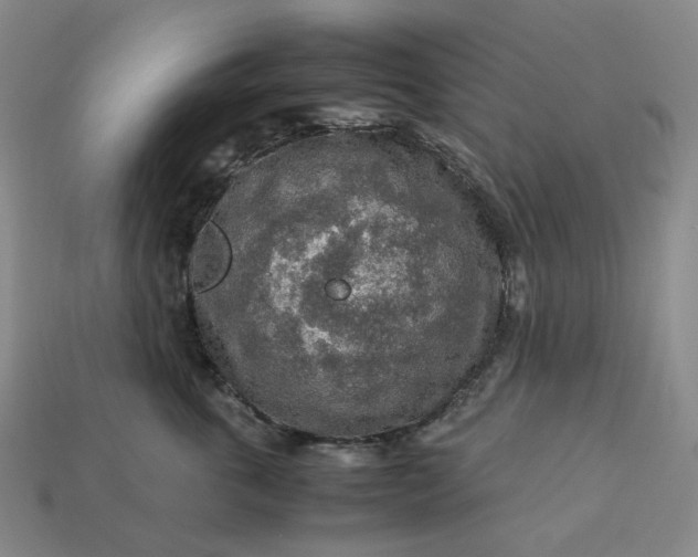 X0000112950763200909071115