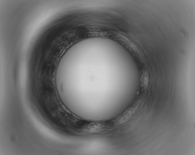 X0000112950764200909071115