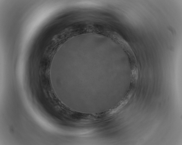 X0000112950765200909071115