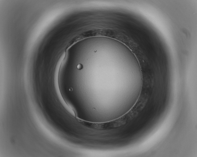 X0000112950766200909071115