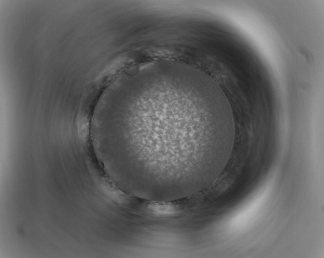 X0000112950767200909071115