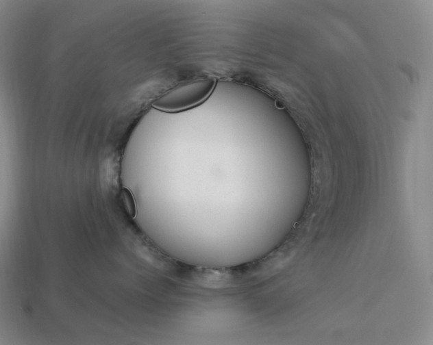 X0000112950768200909071115