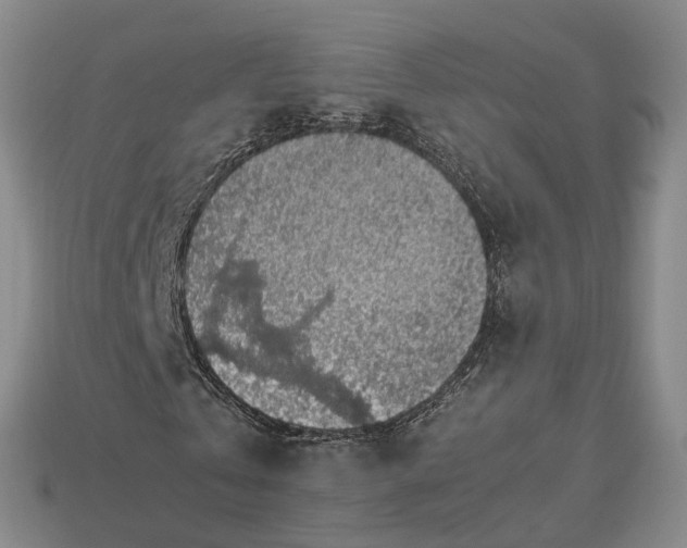 X0000112950769200909071115