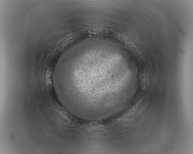 X0000112950770200909071115