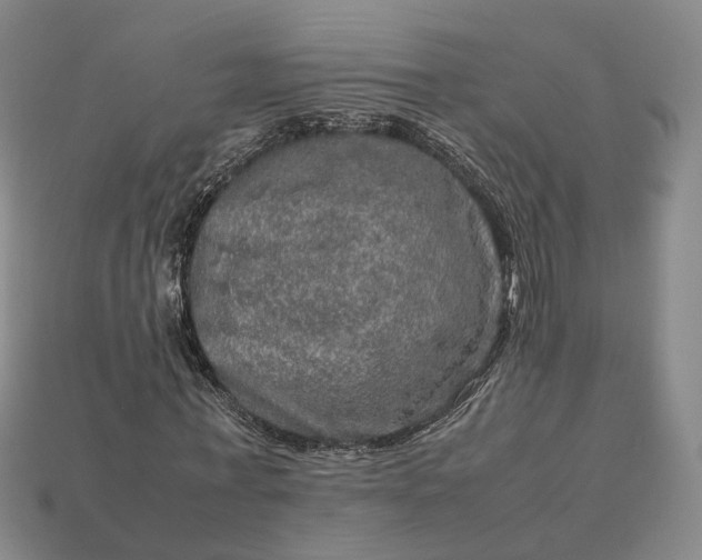 X0000112950771200909071115