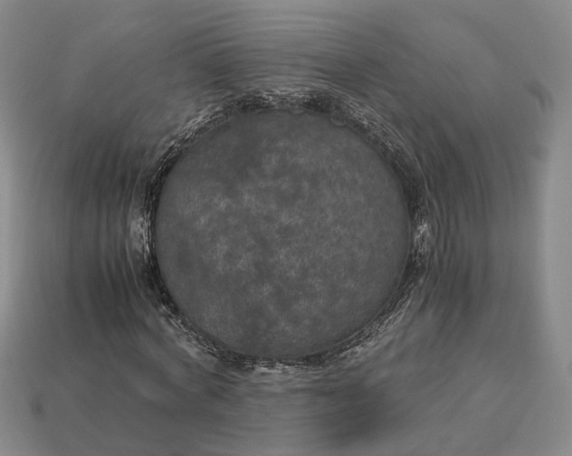 X0000112950772200909071115