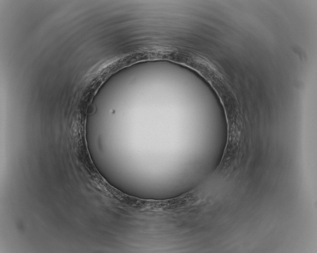 X0000112950773200909071115