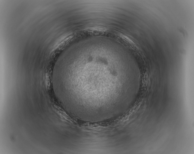 X0000112950774200909071114