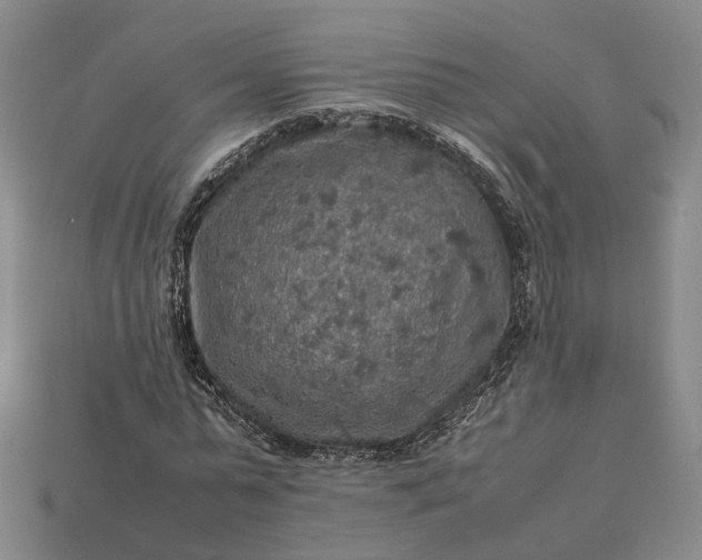 X0000112950775200909071114