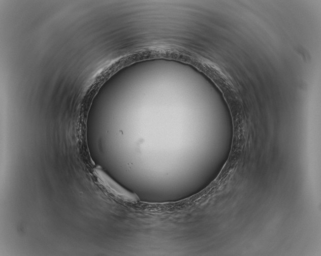 X0000112950776200909071114