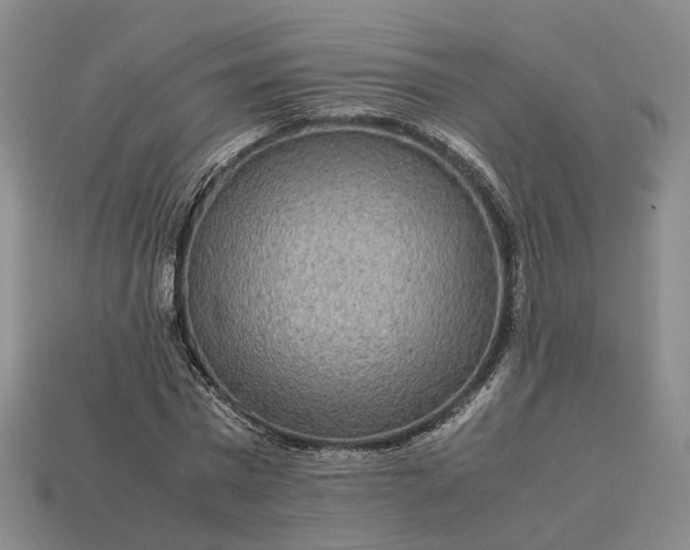 X0000112950777200909071114