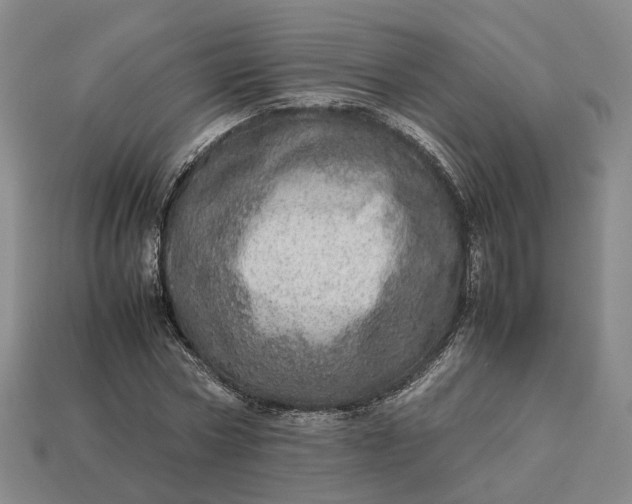 X0000112950778200909071114