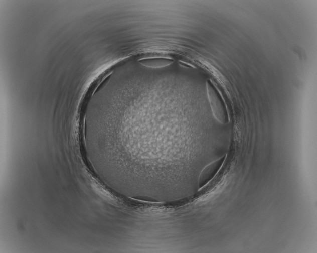 X0000112950779200909071114