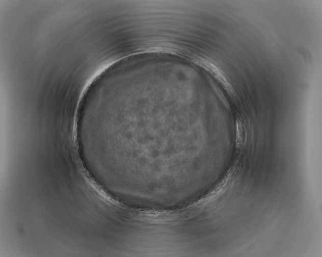 X0000112950780200909071114