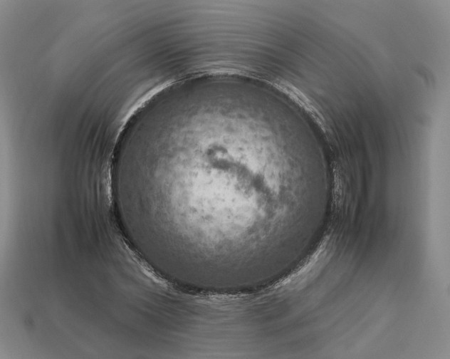 X0000112950782200909071114