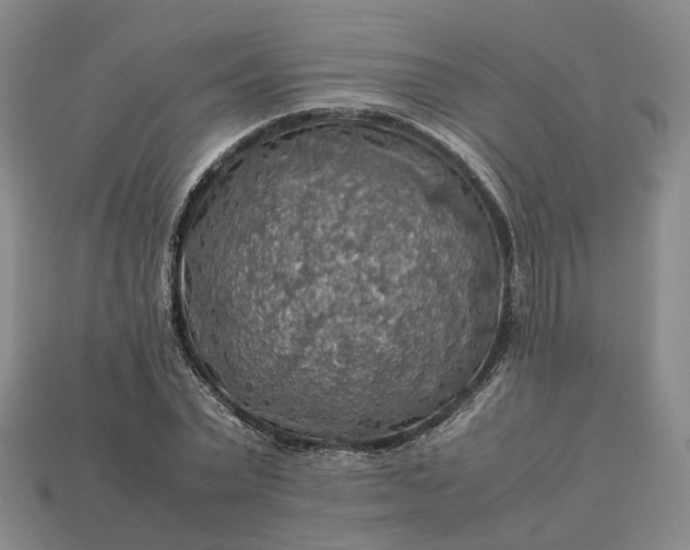 X0000112950783200909071114