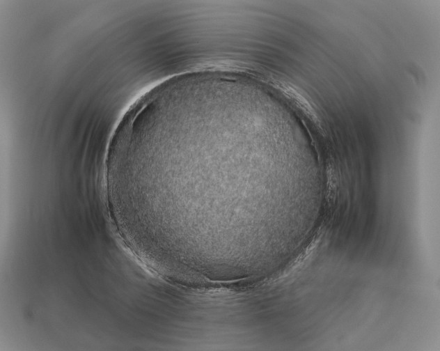 X0000112950784200909071114