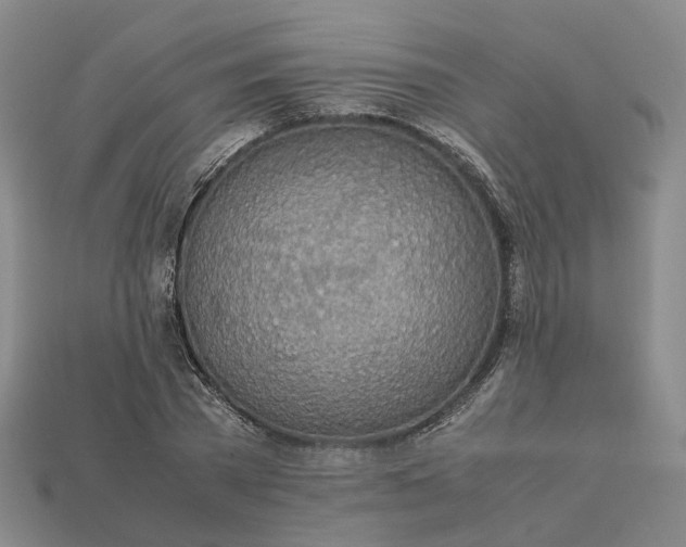 X0000112950785200909071114