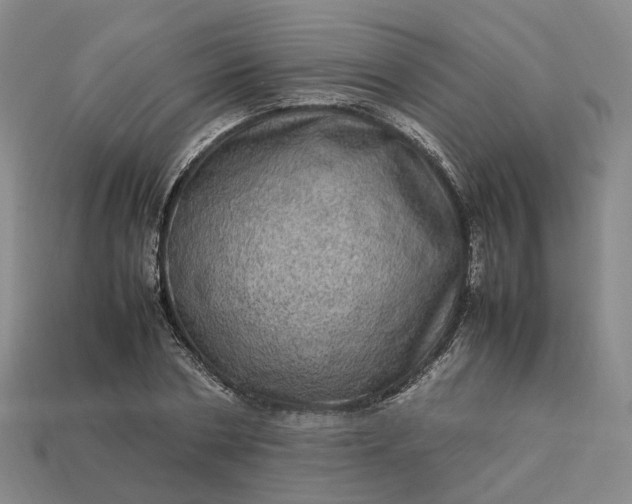 X0000112950786200909071114