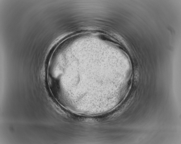 X0000112950787200909071114